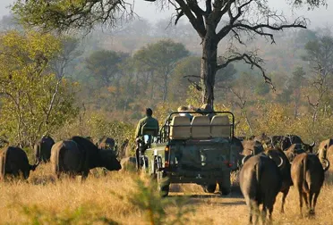 L’Afrique du Sud