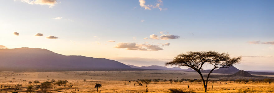 Safari en Afrique